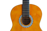 Woodstock 39 Acoustic Guitar with Bag - Orange"